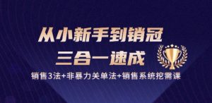 从小新手到销冠 三合一速成：销售3法+非暴力关单法+销售系统挖需课 (27节)-网赚36计