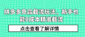 拼多多竞品截流玩法，新手也能0成本精准截流-网赚36计