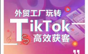外贸工厂玩转TikTok高效获客,多种引流方式与账号定位技巧,拆解爆款短视频打造成功案例-网赚36计