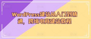 WordPress建站从入门到精通，跨境电商建站教程-网赚36计