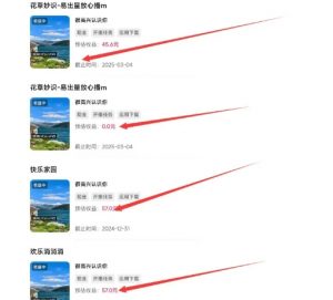 磁力聚星游戏副业陪跑训练营1.0,长期稳定项目,有人一周干了1K+-网赚36计