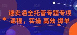 速卖通全托管专题专项课程,实操 高效 爆单-网赚36计