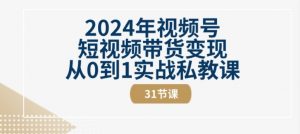 2024年视频号短视频带货变现从0到1实战私教课(31节视频课)-网赚36计