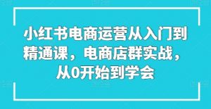 小红书电商运营从入门到精通课，电商店群实战，从0开始到学会-网赚36计