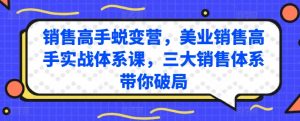 销售高手蜕变营,美业销售高手实战体系课,三大销售体系带你破局-网赚36计