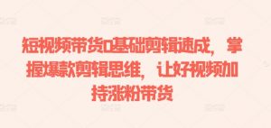 短视频带货0基础剪辑速成,掌握爆款剪辑思维,让好视频加持涨粉带货-网赚36计