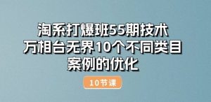 淘系打爆班55期技术:万相台无界10个不同类目案例的优化(10节)-网赚36计