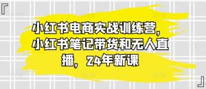 小红书电商实战训练营,小红书笔记带货和无人直播,24年新课-网赚36计