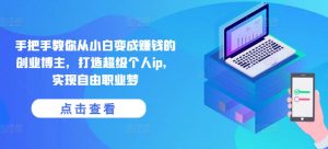 手把手教你从小白变成赚钱的创业博主,打造超级个人ip,实现自由职业梦-网赚36计