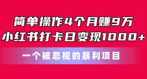 简单操作4个月赚9w，小红书打卡日变现1k，一个被忽视的暴力项目【揭秘】-网赚36计