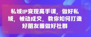 私域IP变现高手课,做好私域,被动成交,教你如何打造好朋友圈做好社群-网赚36计