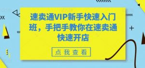 速卖通VIP新手快速入门班,手把手教你在速卖通快速开店-网赚36计