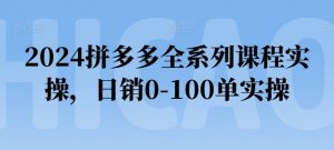 2024拼多多全系列课程实操，日销0-100单实操【必看】-网赚36计