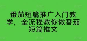 番茄短篇推广入门教学，全流程教你做番茄短篇推文-网赚36计