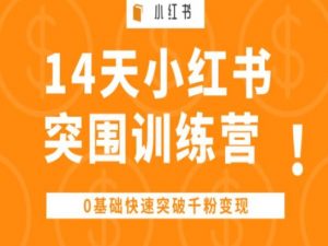 14天小红书突围训练营 ,0基础快速突破千粉变现-网赚36计