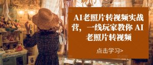 AI老照片转视频实战营,一线玩家教你AI老照片转视频-网赚36计