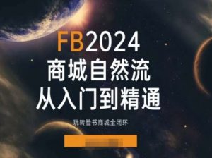 2024Faceboo商城自然流(从入门到精通),玩转脸书商城全闭环-网赚36计