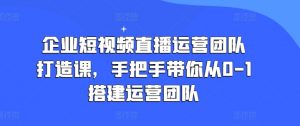 企业短视频直播运营团队打造课，手把手带你从0-1搭建运营团队-网赚36计