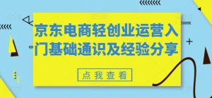 京东电商轻创业运营入门基础通识及经验分享-网赚36计