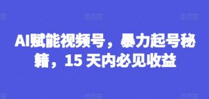 AI赋能视频号，暴力起号秘籍，15 天内必见收益【揭秘】-网赚36计