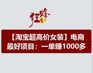淘宝超高价女装项目,电商最好赛道,一单赚1000多-网赚36计