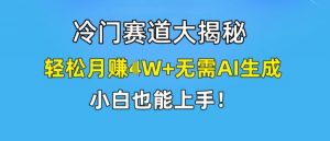 冷门赛道大揭秘，轻松月赚1W+无需AI生成，小白也能上手【揭秘】-网赚36计
