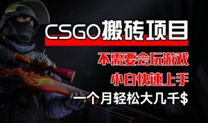 CSGO 装备搬砖项目，操作简单，不需要会玩游戏，小白也能快速上手，一个月轻松大几千【揭秘】-网赚36计