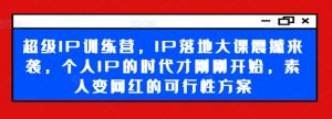 超级IP训练营,IP落地大课震撼来袭,个人IP的时代才刚刚开始,素人变网红的可行性方案-网赚36计