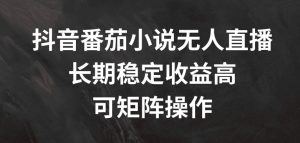 抖音番茄小说无人直播，长期稳定收益高，可矩阵操作【揭秘】-网赚36计
