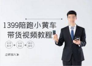 1399陪跑tiktok小黄车带货视频教程，tiktok跨境电商教程-网赚36计