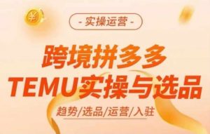 跨境拼多多TEMU实操与选品,多多temu跨境选品运营实操-网赚36计