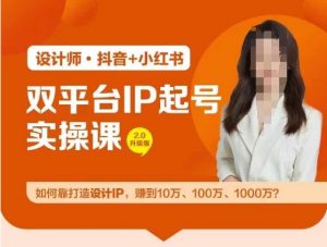 双平台IP起号实操营,教你如何靠打造设计IP,赚到10万、100万、1000万?-网赚36计