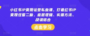 小红书IP变现运营私教课，打通红书IP变现任督二脉，底层逻辑、实操方法、战训结合-网赚36计