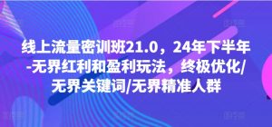 线上流量密训班21.0,24年下半年-无界红利和盈利玩法,终极优化/无界关键词/无界精准人群-网赚36计