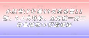 小红书IP打造60天实战营11期,5.0大升级,全网独一无二的自媒体IP打造课程-网赚36计