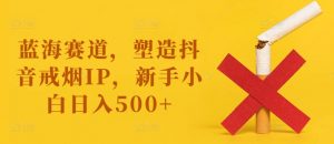 蓝海赛道，塑造抖音戒烟IP，新手小白日入500+【揭秘】-网赚36计