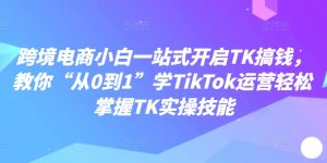 跨境电商小白一站式开启TK搞钱,教你“从0到1”学TikTok运营轻松掌握TK实操技能-网赚36计