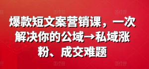 爆款短文案营销课,一次解决你的公域→私域涨粉、成交难题-网赚36计