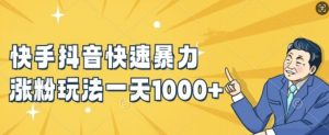 快手抖音快速暴力涨粉玩法，新手小白也能学会，一天1k+【揭秘】-网赚36计