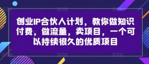 创业IP合伙人计划,教你做知识付费,做流量,卖项目,一个可以持续很久的优质项目-网赚36计