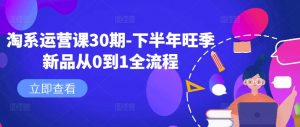 淘系运营课30期-下半年旺季新品从0到1全流程-网赚36计