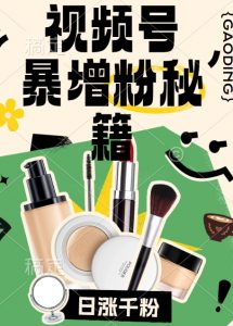 视频号涨粉方法，暴力起号，一天涨粉1000+，当天开橱窗【揭秘】-网赚36计