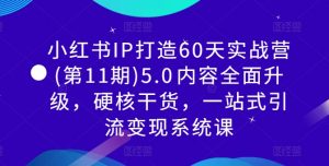 小红书IP打造60天实战营(第11期)5.0内容全面升级,硬核干货,一站式引流变现系统课-网赚36计