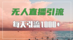 抖音快手视频号全平台通用,无人直播引流法,超暴力引流1000+高质量精准创业粉【揭秘】-网赚36计