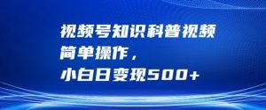 视频号知识科普视频,简单操作,小白日变现500+【揭秘】-网赚36计