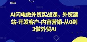 AI闪电做外贸实战课,外贸建站-开发客户-内容营销-从0到3做外贸AI(更新)-网赚36计