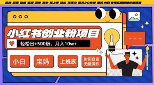 小红书创业粉项目日+500粉，每天20分钟躺赚长尾收益，无脑操作，宝妈，小白抓紧冲【揭秘】-网赚36计
