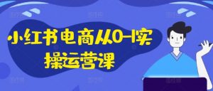 小红书电商从0-1实操运营课，小红书手机实操小红书/IP和私域课/小红书电商电脑实操板块等-网赚36计