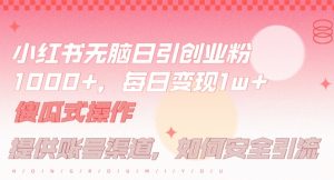 小红书无脑每日引流创业粉500+，小白每天只花半小时，躺赚长尾收益【揭秘】-网赚36计
