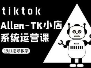 TK小店系统运营课-tiktok跨境电商教程-网赚36计